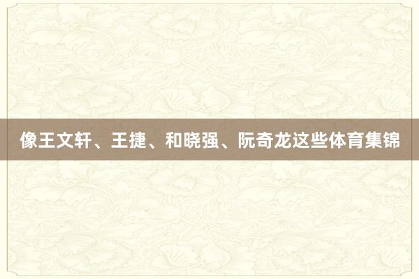 像王文轩、王捷、和晓强、阮奇龙这些体育集锦