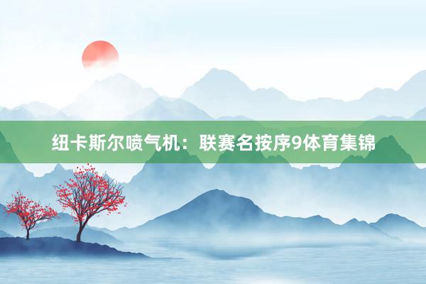 纽卡斯尔喷气机：联赛名按序9体育集锦