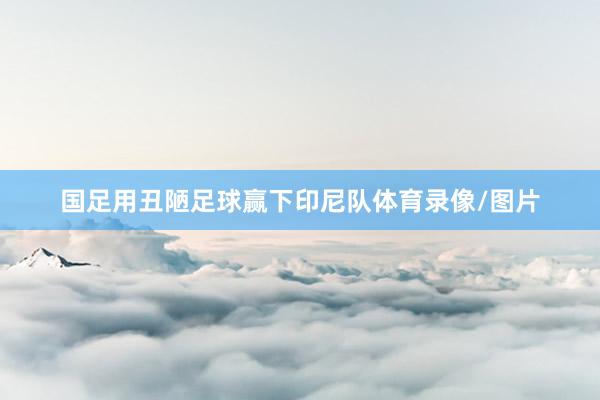 国足用丑陋足球赢下印尼队体育录像/图片