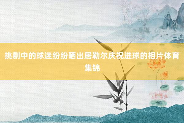 挑剔中的球迷纷纷晒出居勒尔庆祝进球的相片体育集锦