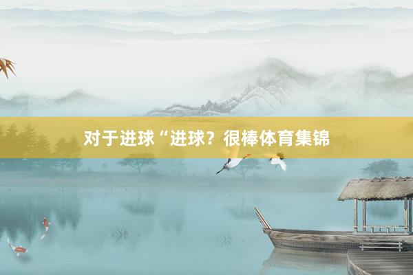 对于进球　　“进球？很棒体育集锦