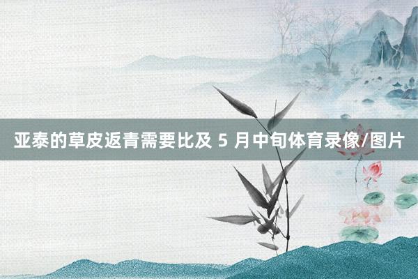 亚泰的草皮返青需要比及 5 月中旬体育录像/图片
