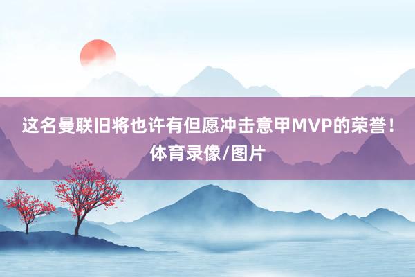 这名曼联旧将也许有但愿冲击意甲MVP的荣誉！体育录像/图片