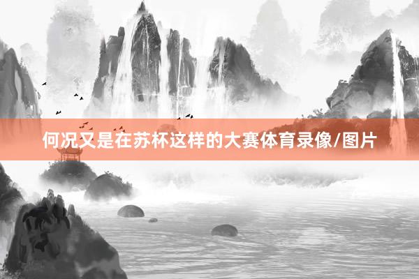 何况又是在苏杯这样的大赛体育录像/图片