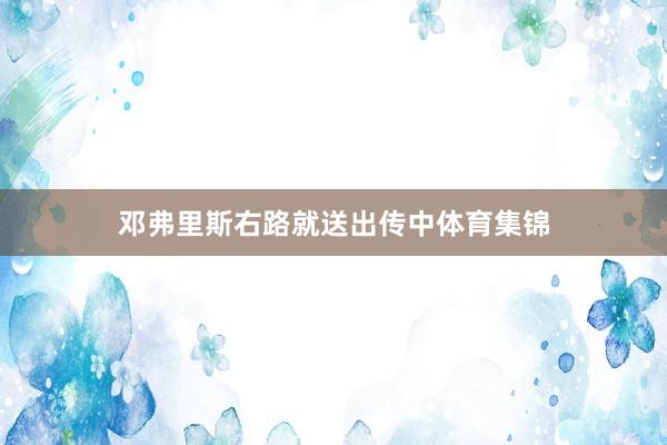 邓弗里斯右路就送出传中体育集锦