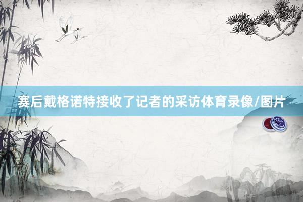 赛后戴格诺特接收了记者的采访体育录像/图片