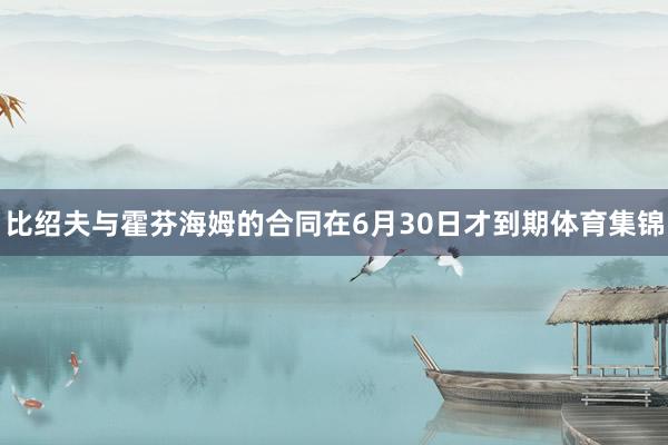比绍夫与霍芬海姆的合同在6月30日才到期体育集锦