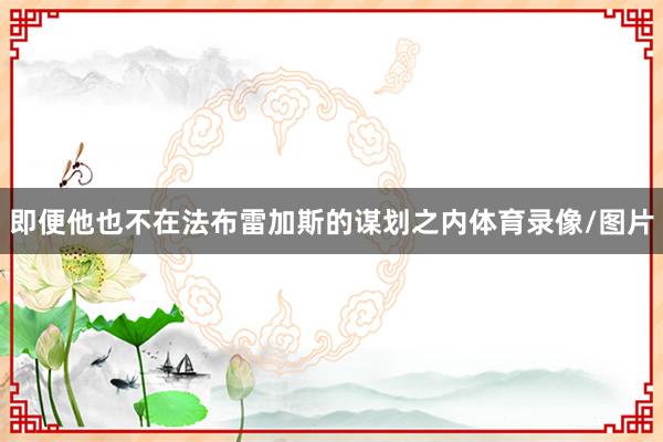 即便他也不在法布雷加斯的谋划之内体育录像/图片