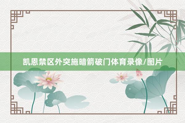 凯恩禁区外突施暗箭破门体育录像/图片