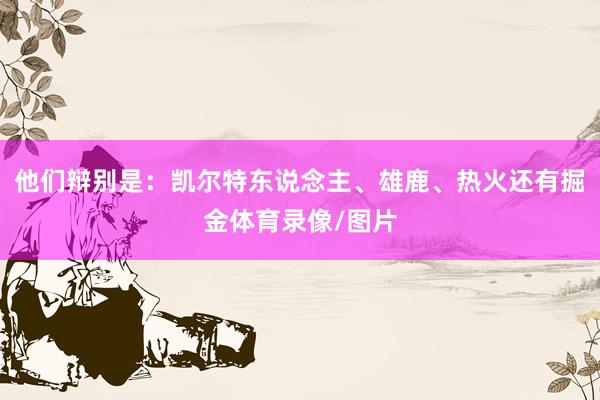 他们辩别是：凯尔特东说念主、雄鹿、热火还有掘金体育录像/图片