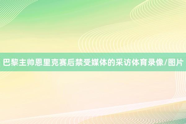 巴黎主帅恩里克赛后禁受媒体的采访体育录像/图片