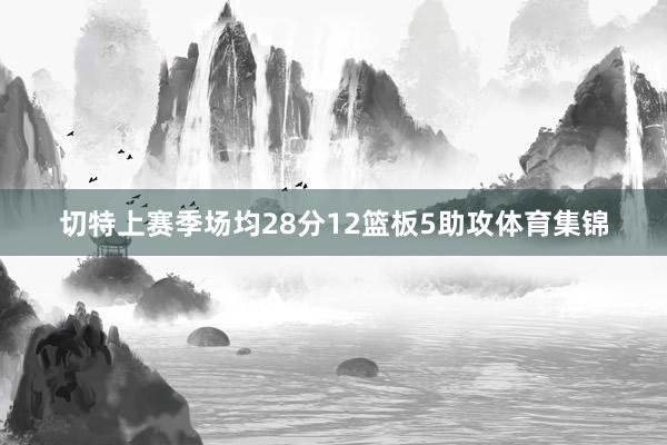 切特上赛季场均28分12篮板5助攻体育集锦