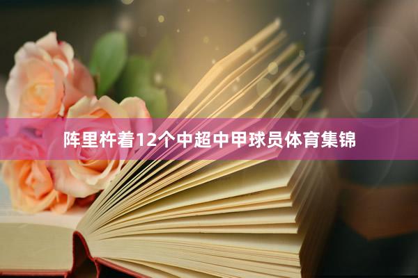 阵里杵着12个中超中甲球员体育集锦