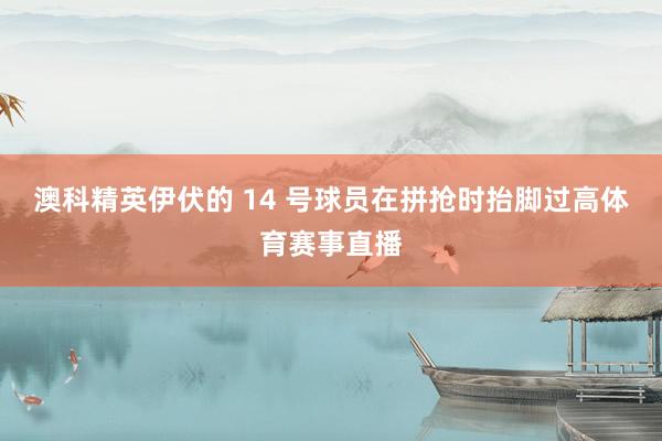 澳科精英伊伏的 14 号球员在拼抢时抬脚过高体育赛事直播