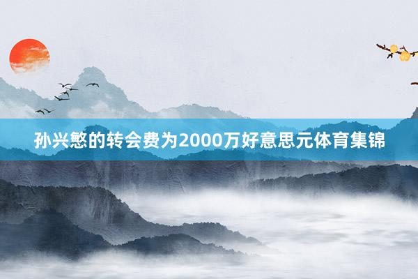孙兴慜的转会费为2000万好意思元体育集锦