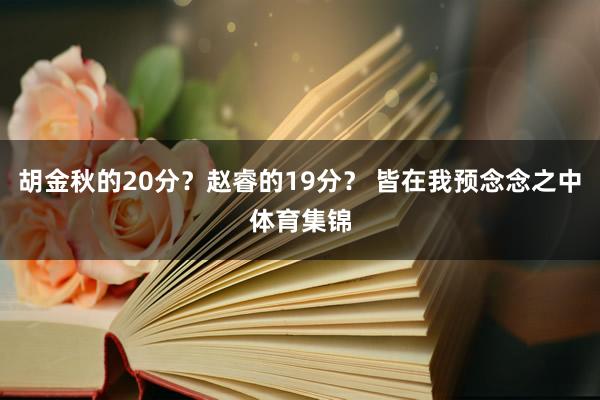胡金秋的20分?赵睿的19分? 皆在我预念念之中体育集锦