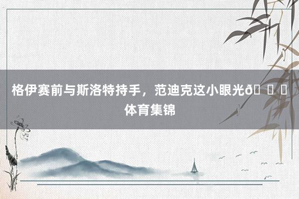 格伊赛前与斯洛特持手，范迪克这小眼光😂体育集锦