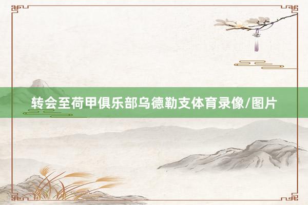 转会至荷甲俱乐部乌德勒支体育录像/图片