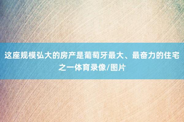 这座规模弘大的房产是葡萄牙最大、最奋力的住宅之一体育录像/图片