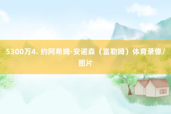 5300万4. 约阿希姆·安诺森（富勒姆）体育录像/图片