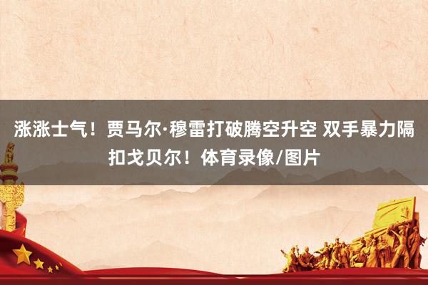 涨涨士气！贾马尔·穆雷打破腾空升空 双手暴力隔扣戈贝尔！体育录像/图片