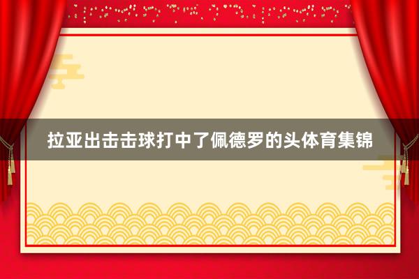 拉亚出击击球打中了佩德罗的头体育集锦
