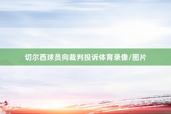 切尔西球员向裁判投诉体育录像/图片