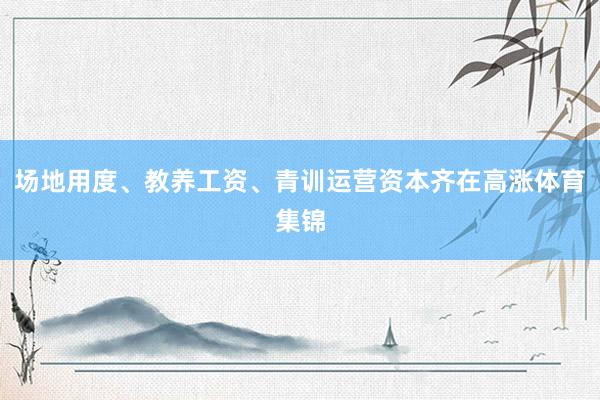 场地用度、教养工资、青训运营资本齐在高涨体育集锦