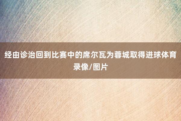 经由诊治回到比赛中的席尔瓦为蓉城取得进球体育录像/图片