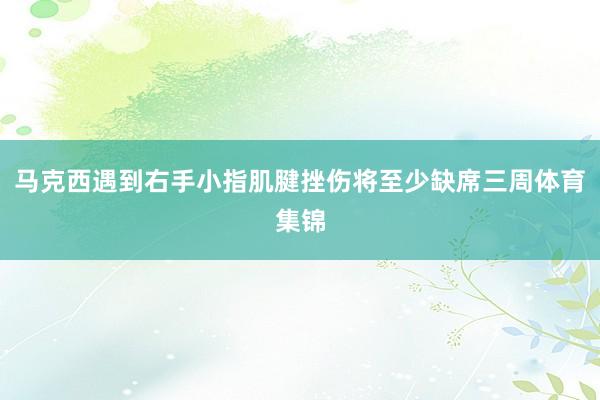 马克西遇到右手小指肌腱挫伤将至少缺席三周体育集锦