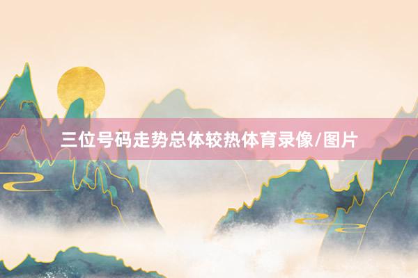 三位号码走势总体较热体育录像/图片