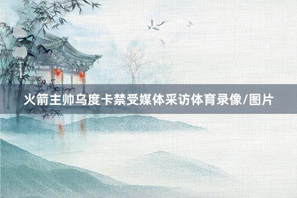 火箭主帅乌度卡禁受媒体采访体育录像/图片