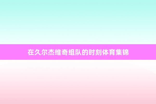 在久尔杰维奇组队的时刻体育集锦