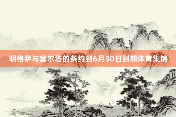 明格萨与塞尔塔的条约到6月30日到期体育集锦