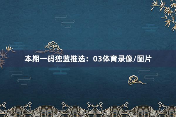 本期一码独蓝推选：03体育录像/图片
