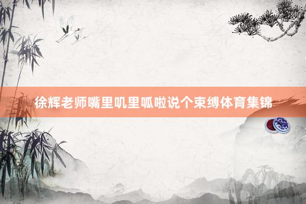 徐辉老师嘴里叽里呱啦说个束缚体育集锦