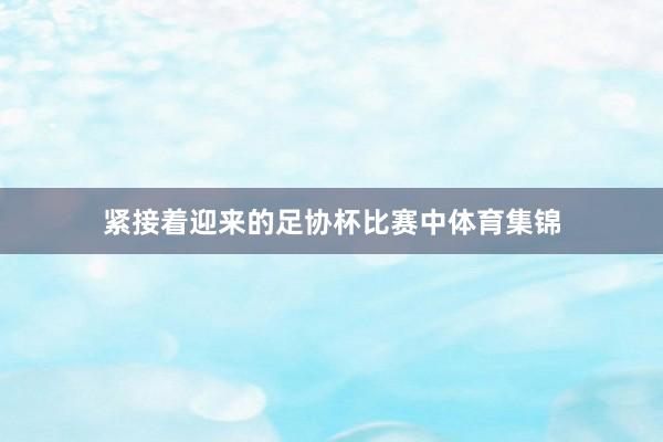 紧接着迎来的足协杯比赛中体育集锦