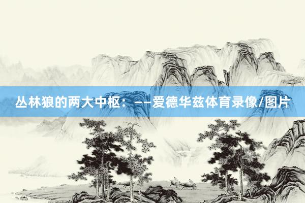丛林狼的两大中枢：——爱德华兹体育录像/图片