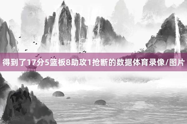 得到了17分5篮板8助攻1抢断的数据体育录像/图片
