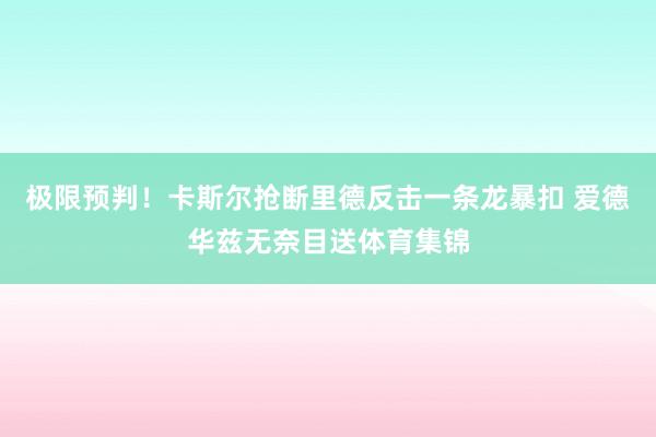 极限预判！卡斯尔抢断里德反击一条龙暴扣 爱德华兹无奈目送体育集锦