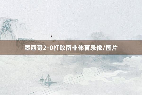 墨西哥2-0打败南非体育录像/图片